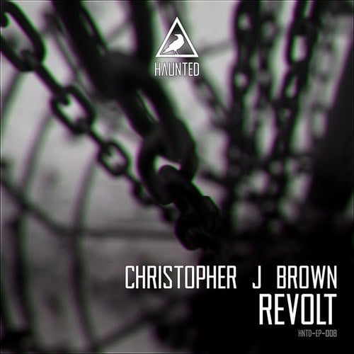 Christopher J Brown