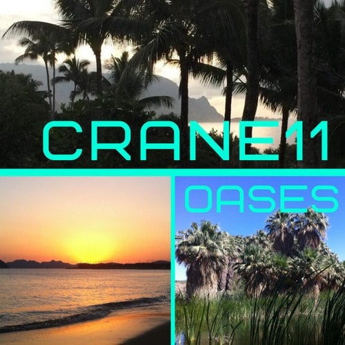 Crane11
