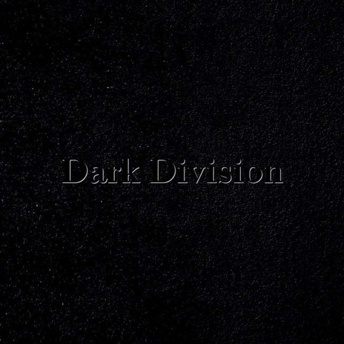 Dark Division