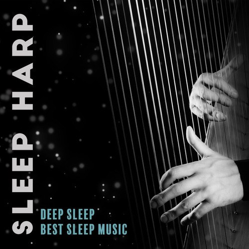 Deep Sleep Maestro