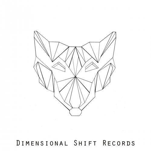 Dimensional Shift Records