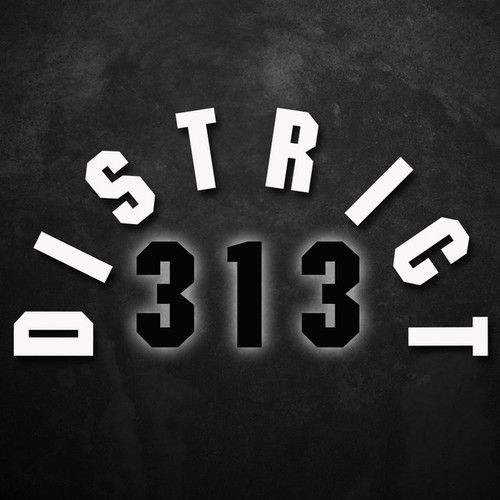 District 313