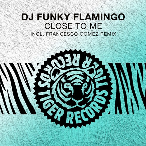 DJ Funky Flamingo