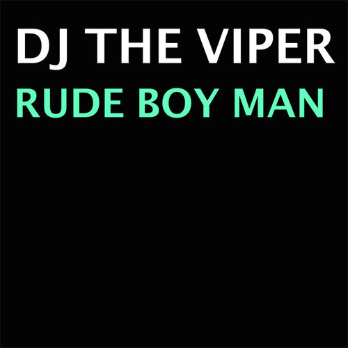 DJ The Viper