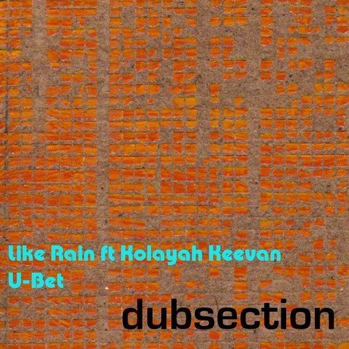 Dubsection