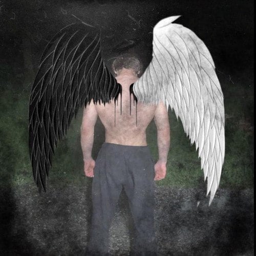 Fallen Angel