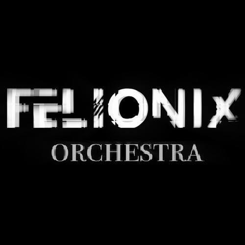 FeLionix
