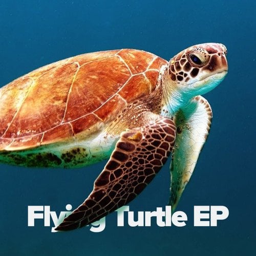 Flying Turtle