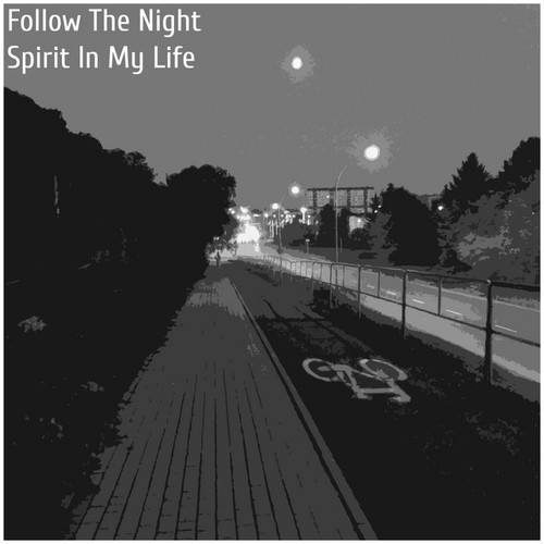 Follow The Night