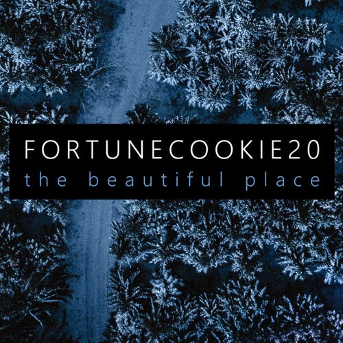 Fortunecookie20
