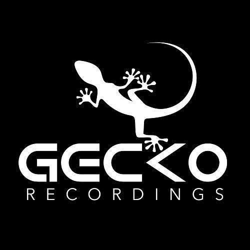 Gecko Recordings