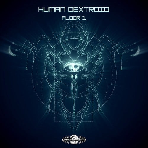 Human Dextroid
