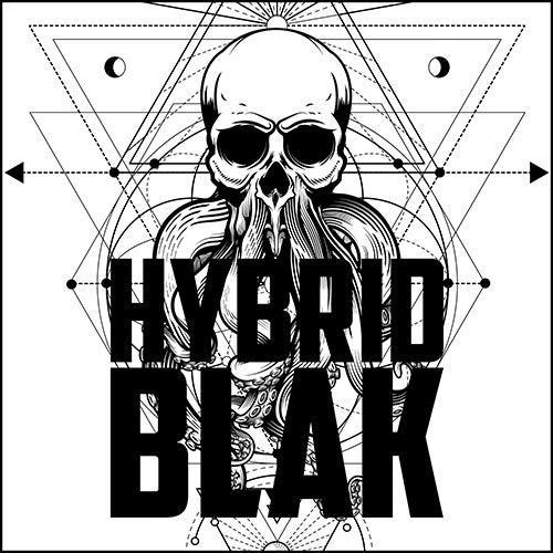 HYBRID BLAK Records