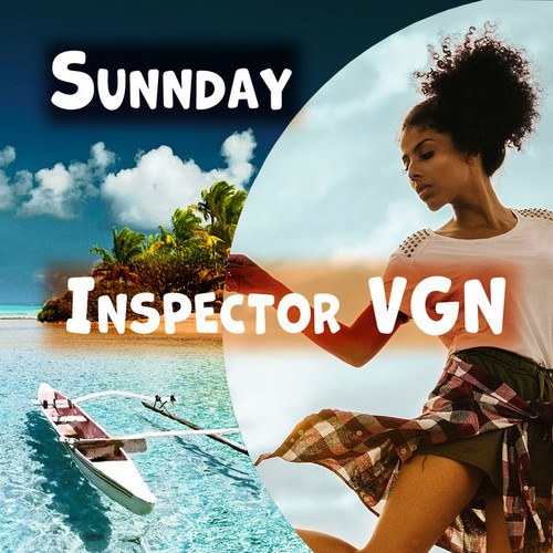 Inspector VGN