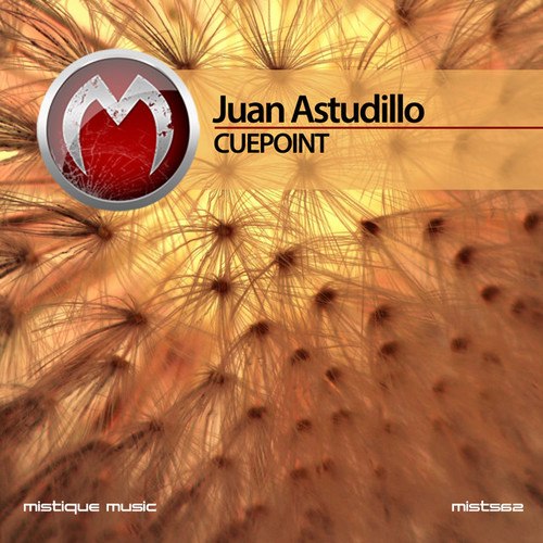 Juan Astudillo