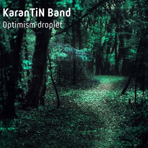 KaranTiN Band