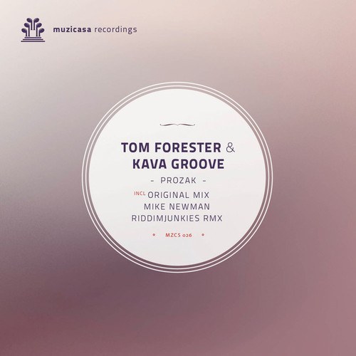 Kava Groove