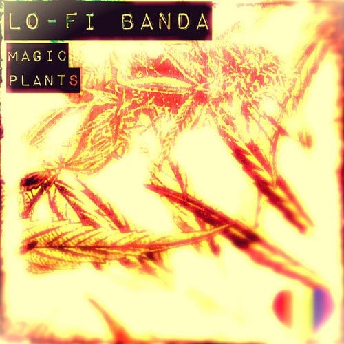 Lo-Fi Banda