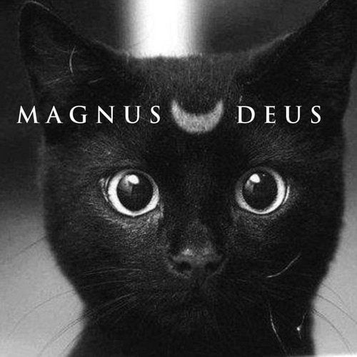Magnus Deus