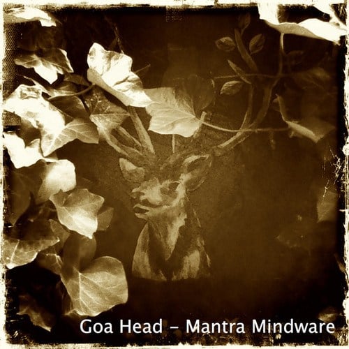 Mantra Mindware