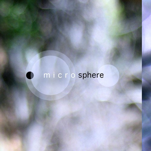 Microsphere