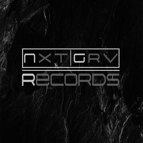 Next Groove Records