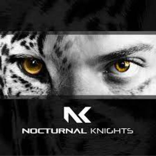 Nocturnal Knights Music