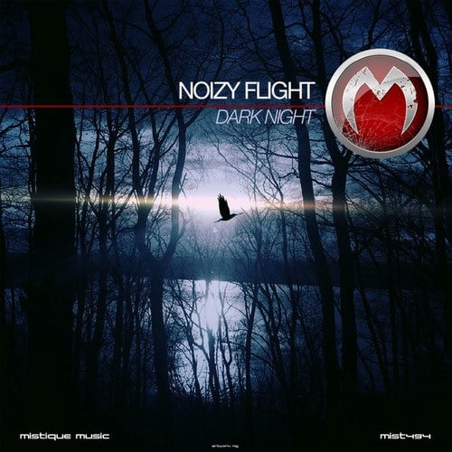 Noizy Flight