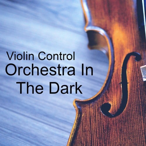 Orchestra In The Dark