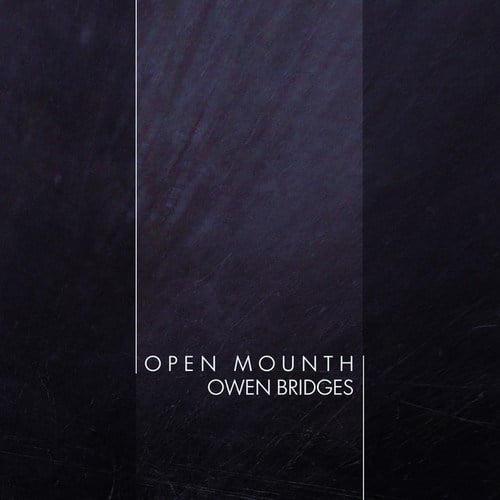 Owen Bridges