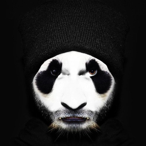 Pat Panda