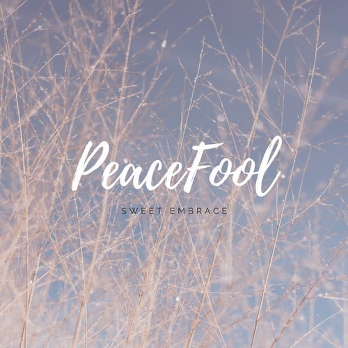 PeaceFool