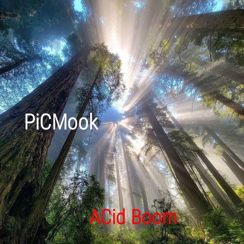 Picmook