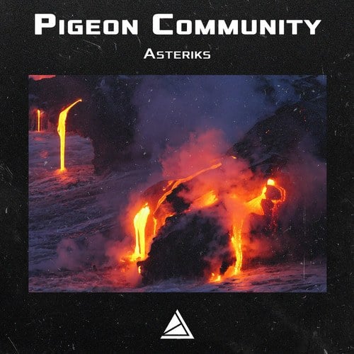 Pigeon Community