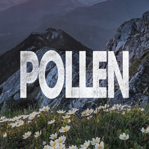 Pollen