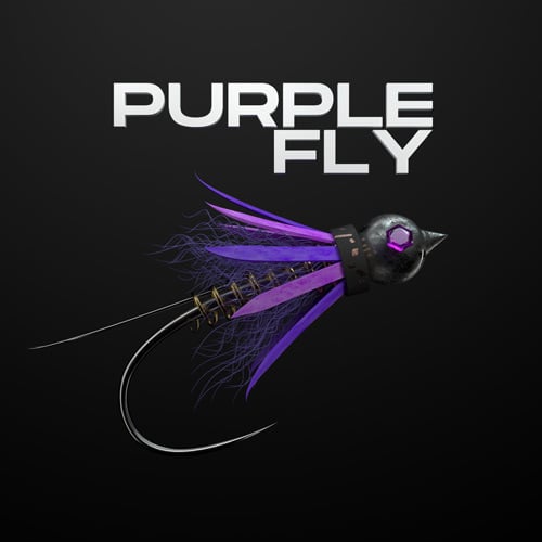 Purple Fly Records