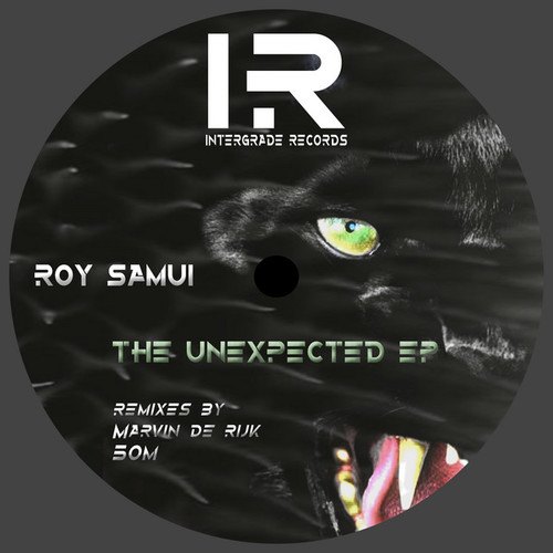 Roy Samui