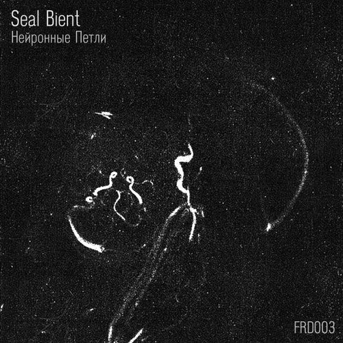 Seal Bient