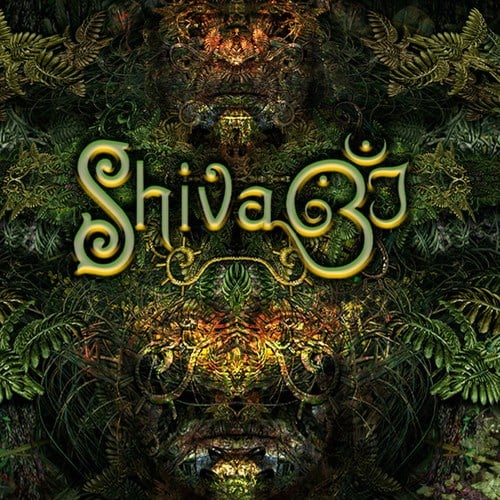 Shiva3