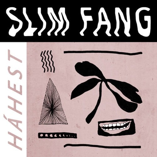 Slim Fang