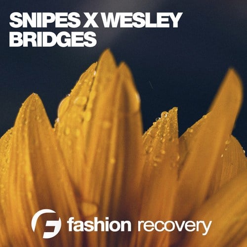 Snipes X Wesley