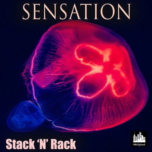 Stack 'N' Rack