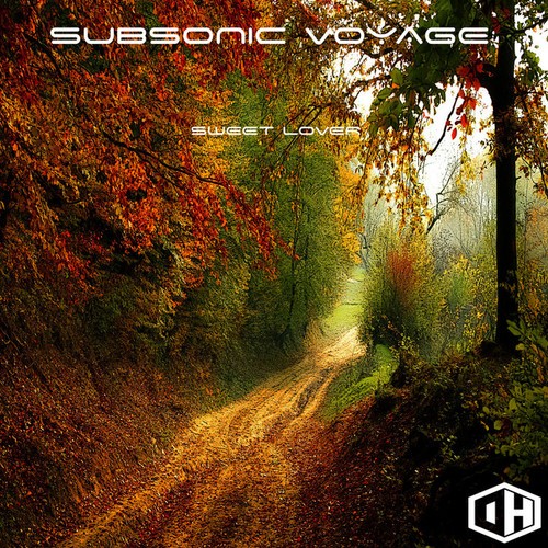 Subsonic Voyage