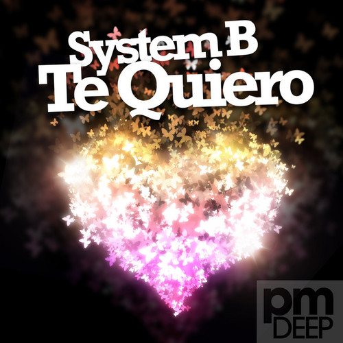 System B