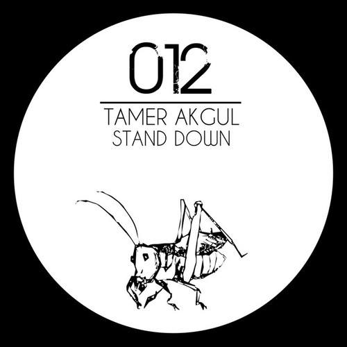 Tamer Akgul