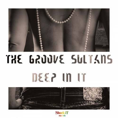 The Groove Sultans