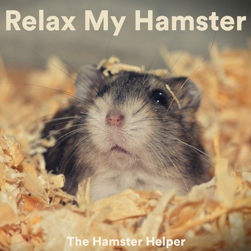 The Hamster Helper