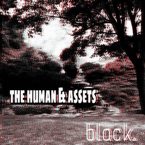 The Human & Assets
