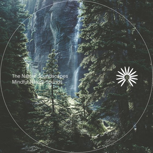 The Nature Soundscapes