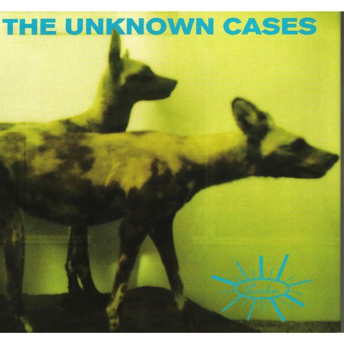 The Unknown Cases